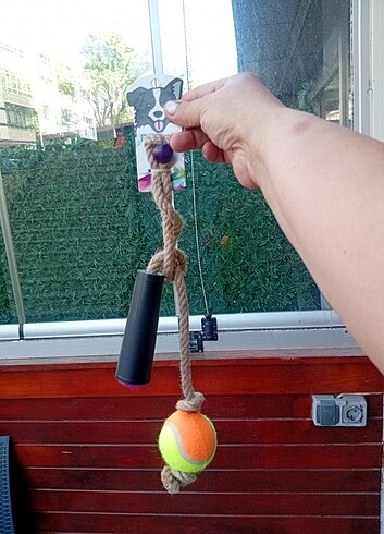  Sıfır Ürün köpek oyuncagi
