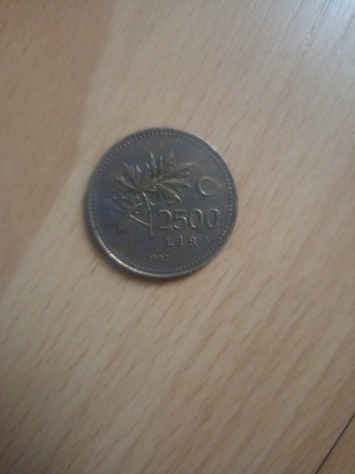 Gri Vintage 2500 Lira Madeni Para Rozeti - Görsel 2