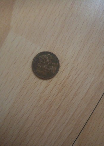 Parlak Kahverengi Vintage Erkek Rozeti - Görsel 2