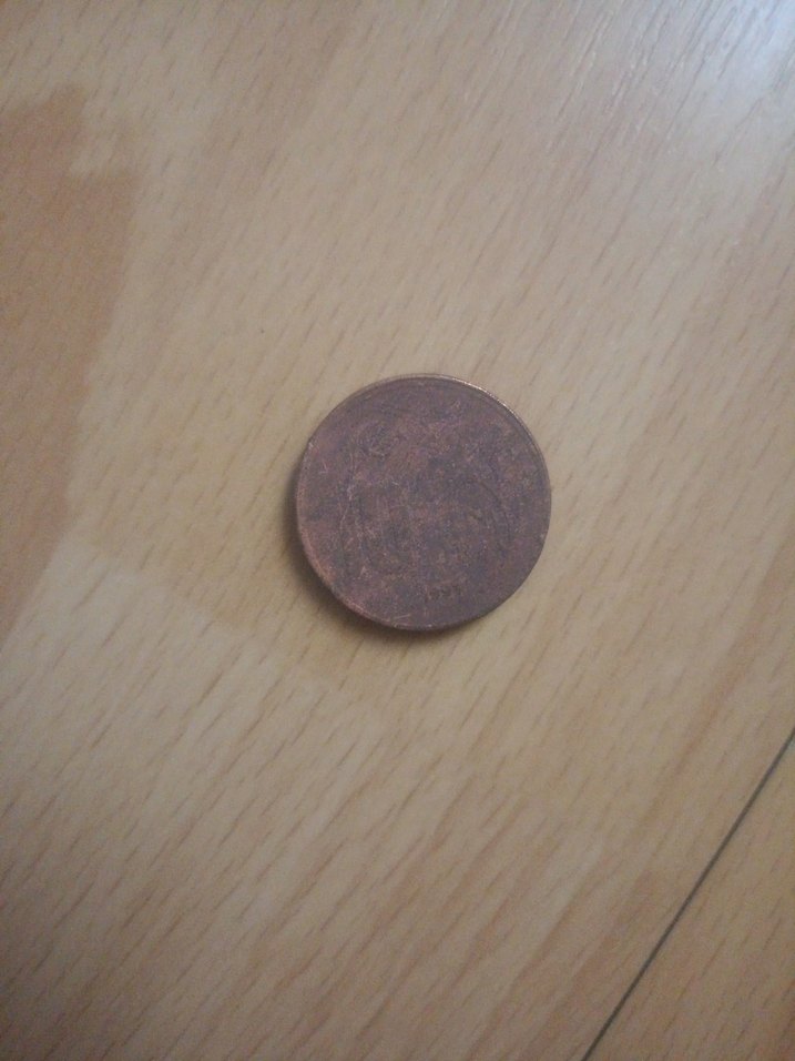 Parlak Kahverengi Erkek Rozeti - Görsel 2