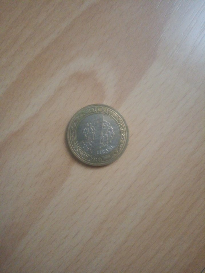 Bej Gri Vintage Erkek Rozeti - Görsel 2