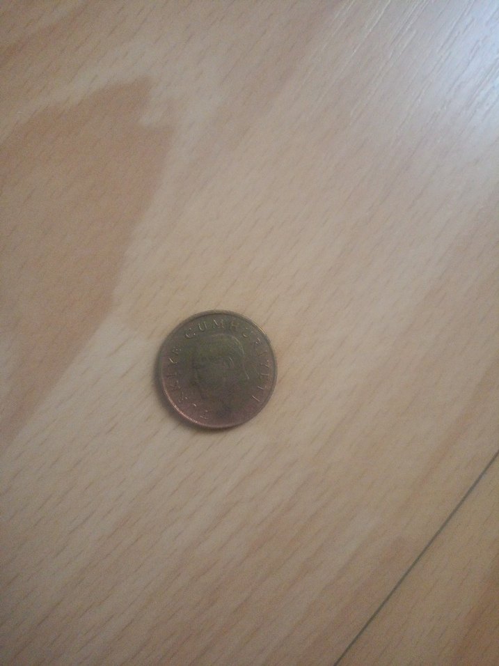 Vintage Parlak Kahverengi Erkek Rozeti - Görsel 2