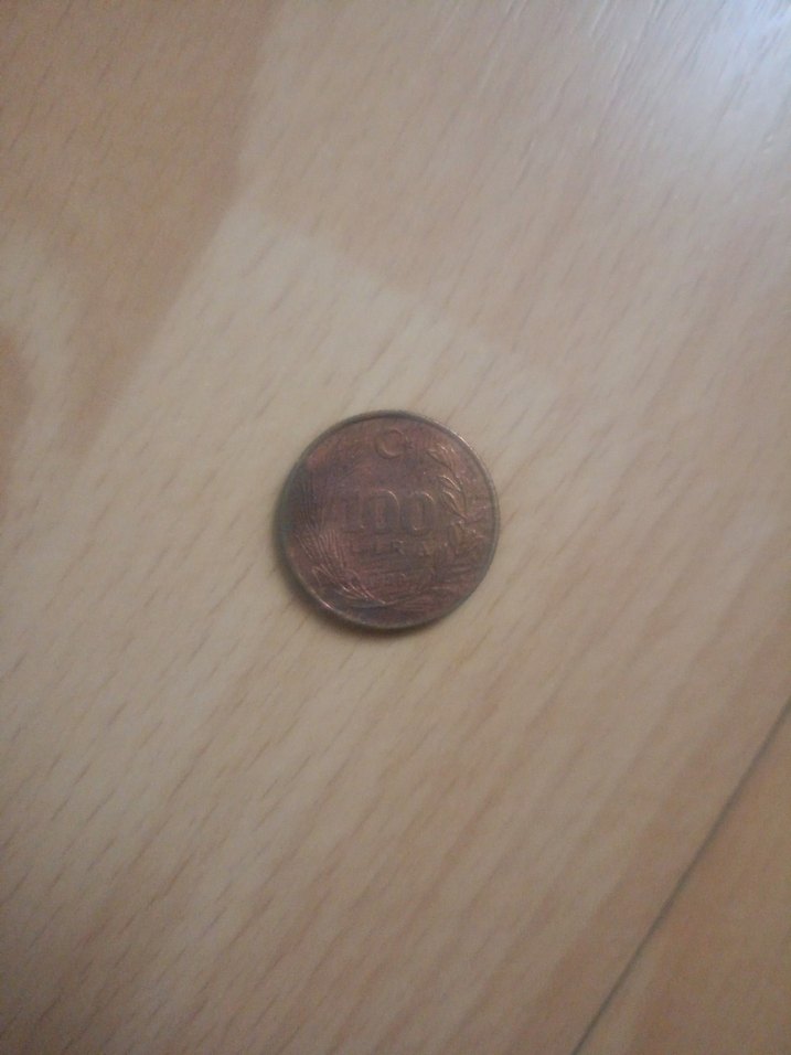 Vintage Parlak Kahverengi Erkek Rozeti - Görsel 3