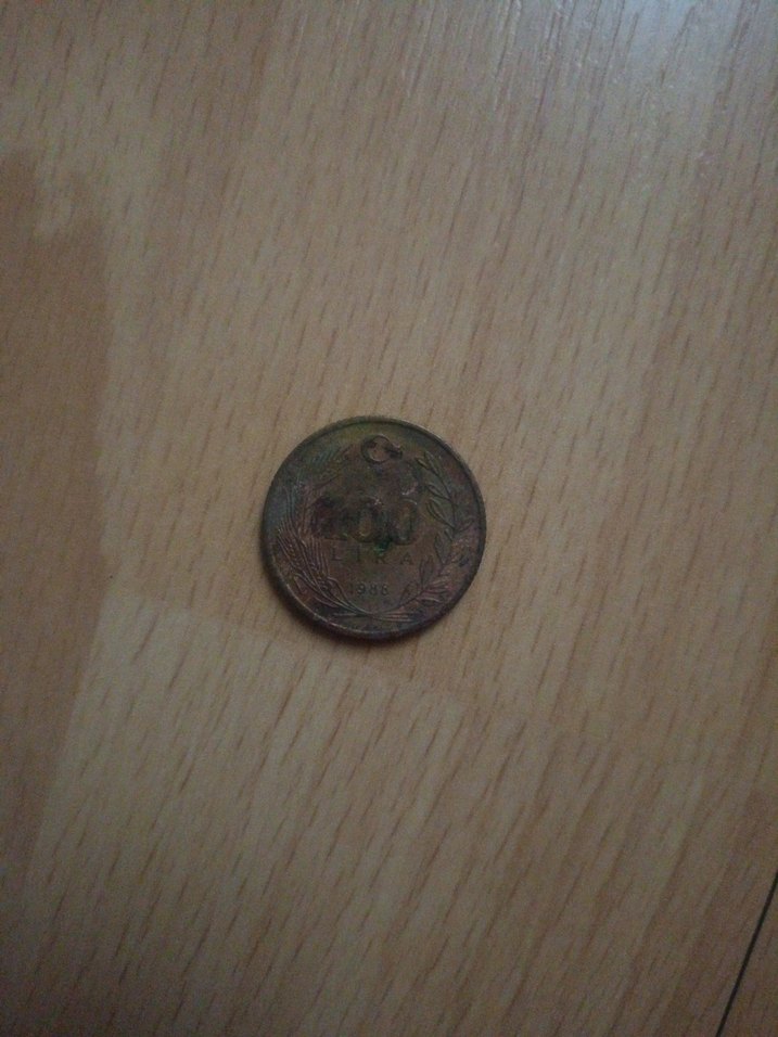 Parlak Kahverengi Vintage Erkek Rozet - Görsel 2