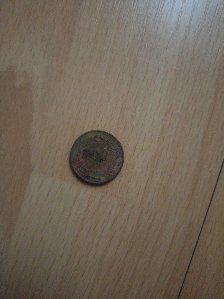 Parlak Kahverengi Vintage Erkek Rozet - Görsel 4