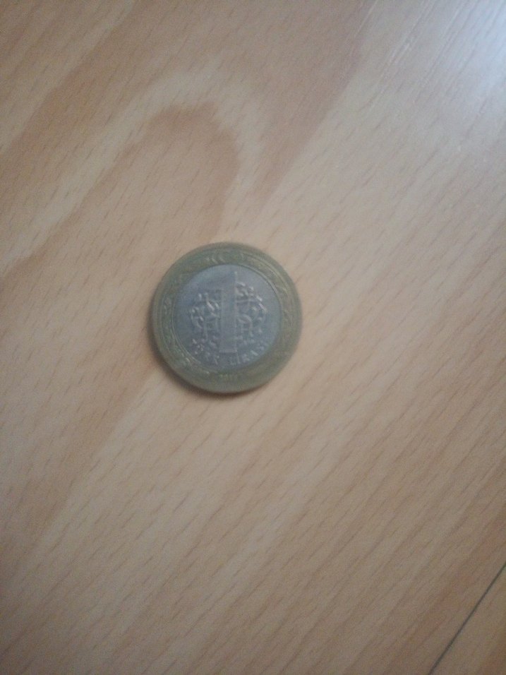 Gri Parlak Erkek Rozeti - Görsel 2