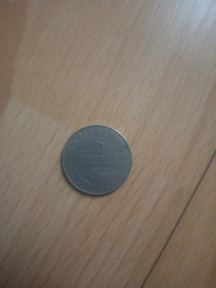 Parlak Gri Vintage Erkek Rozeti - Görsel 2