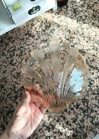 Vintage Şeffaf Bej Cam Kase - Görsel 4