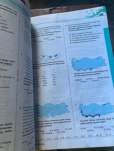  Beden coğrafya soru bankası