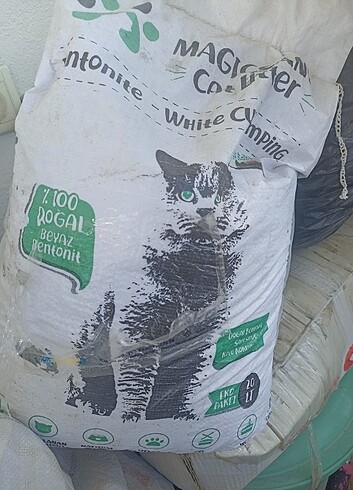 Kedi kumu