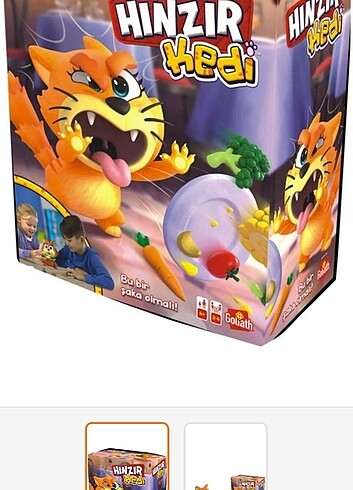 Diğer Hınzır kedi