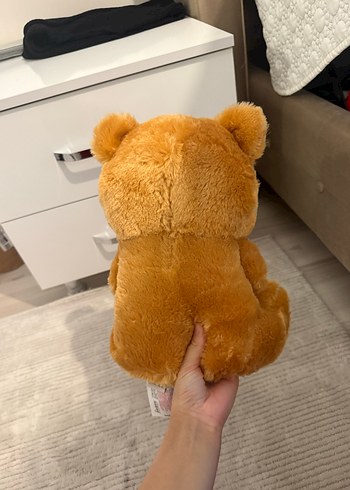 Ayıcık - Görsel 2