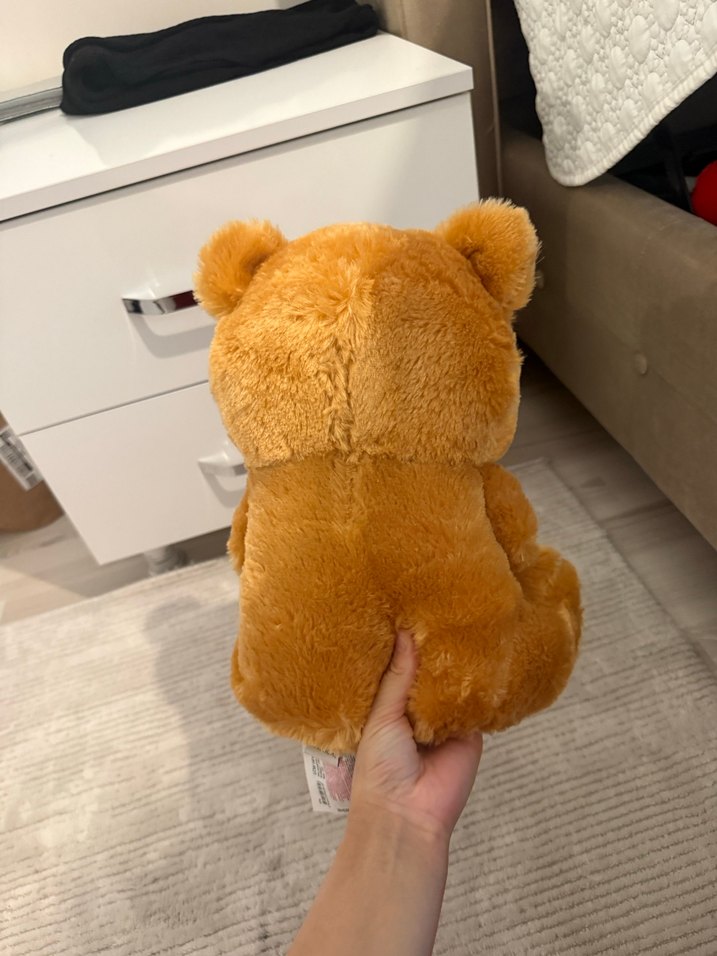 Ayıcık - Görsel 2