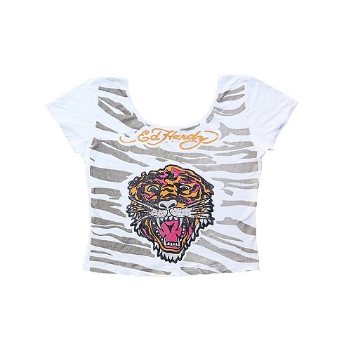 Ed Hardy Crop Top