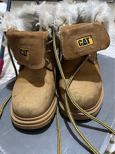 35 Beden sarı Renk Cat bot