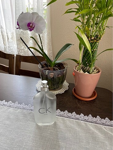 Calvin Klein Calvin klein