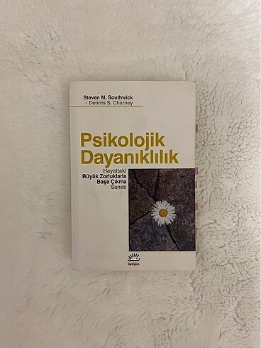 Psikolojik Dayanıklılık: Hayattaki Büyük Zorluklarla Başa Çıkma 