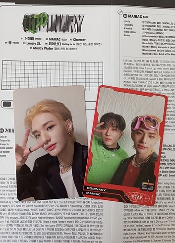 Kpop photocard satış Stray Kids Hyunjin Oddinary Set 