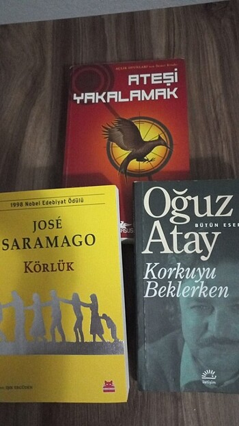 Ateşi Yakalamak Kitap