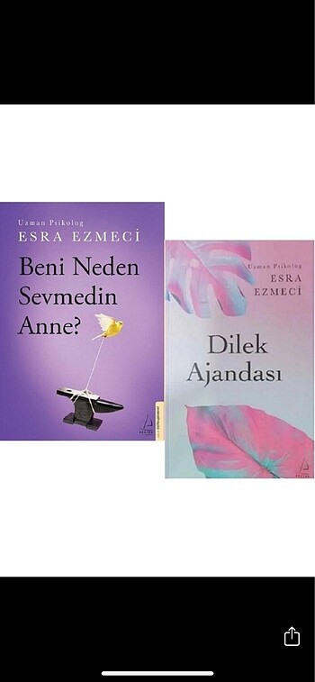 Beni neden sevmedin anne kitabı