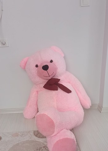 Diğer Pembe Peluş Ayı Oyuncak