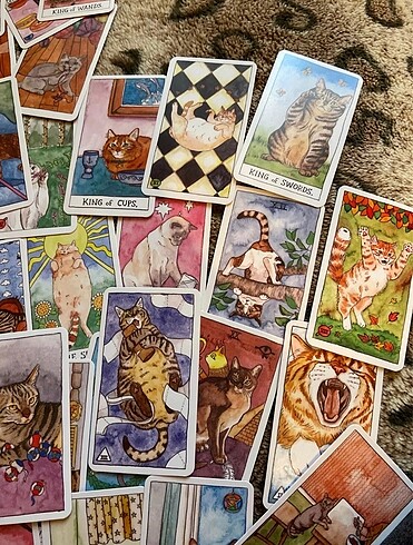 Beden Renk kedili tarot destesi (stoklar yenilendi)