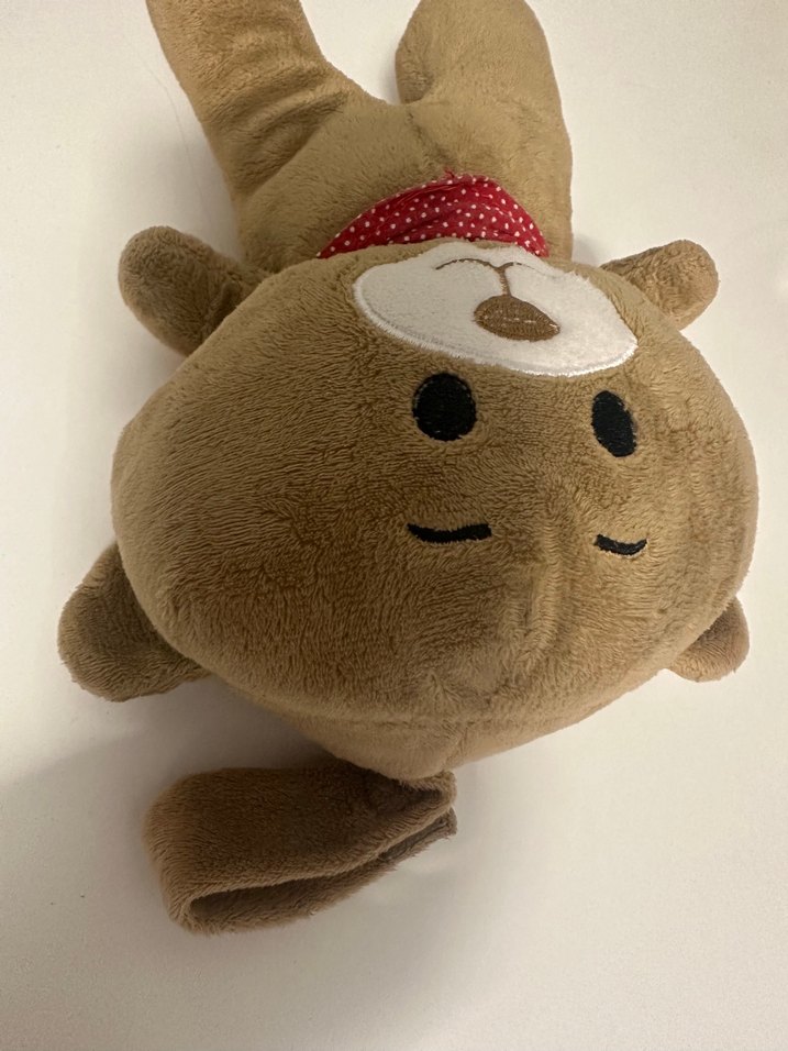 Budizzz Uyku Arkadaşı - Görsel 3