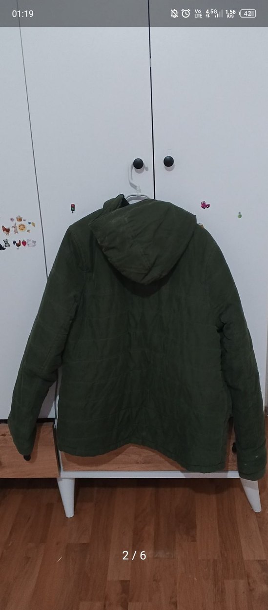 Yeşil Erkek Kaban - Görsel 2