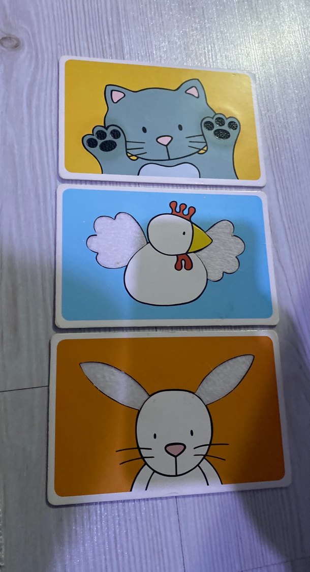 Mikado Çocuk Dokun-Hisset Kartlarım - Köpek - Görsel 4