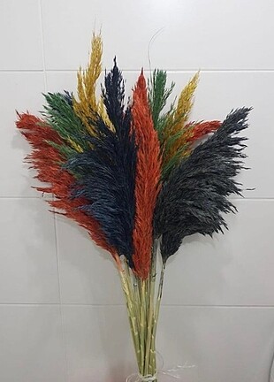 Diğer Bohem ayna