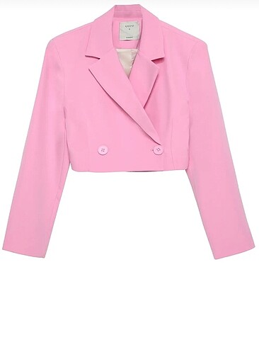 Blazer ceket