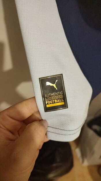 Puma Fenerbahce formasi