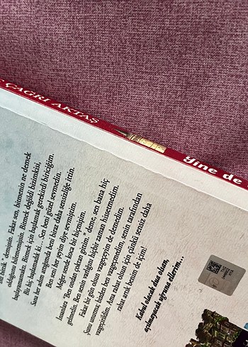 Ünlü Sanatçıların Eserleri Kitabı yinede sevdik - Görsel 2