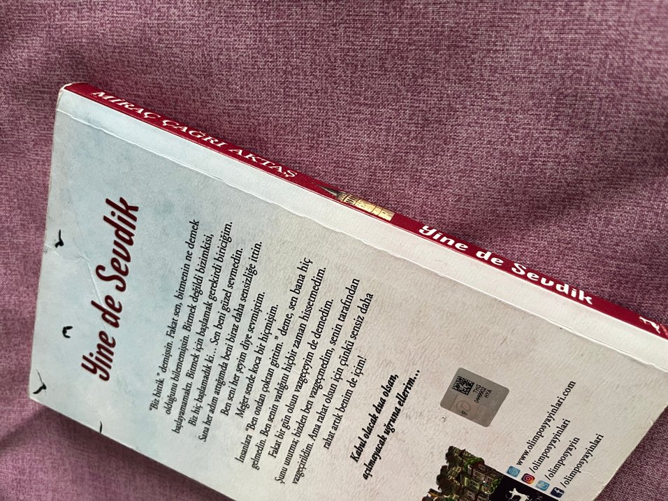 Ünlü Sanatçıların Eserleri Kitabı yinede sevdik - Görsel 2