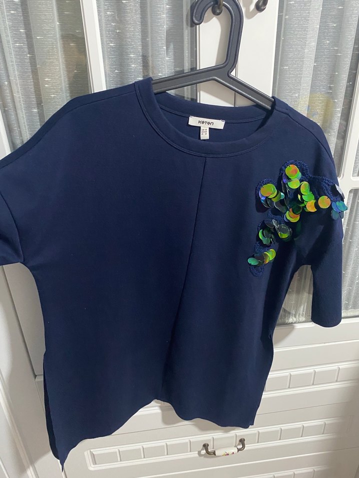 Nakışlı pullu yandan yıtmaçlı - Görsel 2