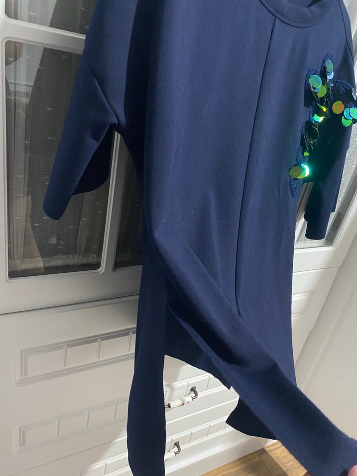 Nakışlı pullu yandan yıtmaçlı - Görsel 4