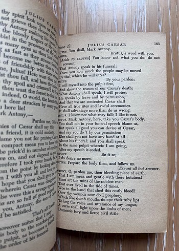 William Shakespeare Dört Trajedisi Kitabı - Görsel 3