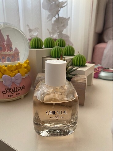 Zara Zara Oriental Day Collection 02