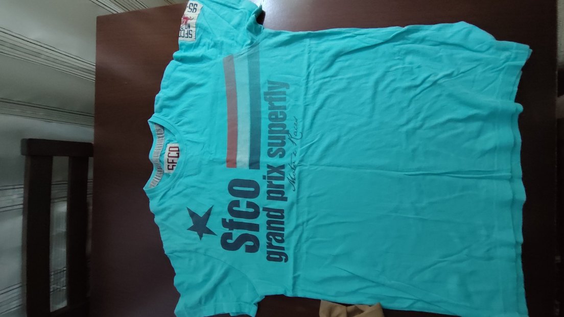 Turkuaz Baskılı Erkek Tişört - Görsel 2