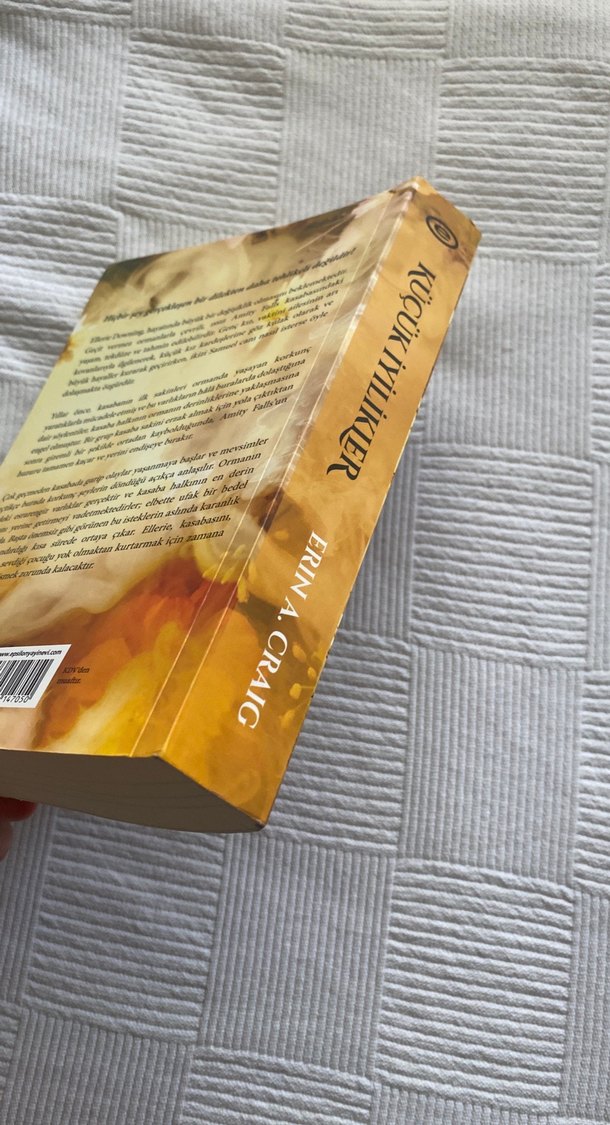 Küçük İyilikler - Erin A. Craig - Görsel 4