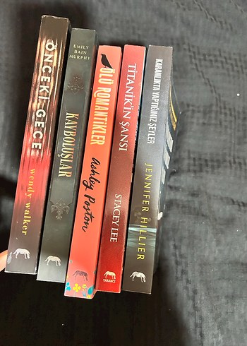 Çeşitli Roman Kitapları Seti - Görsel 2