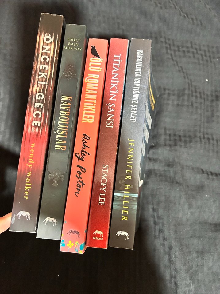 Çeşitli Roman Kitapları Seti - Görsel 2