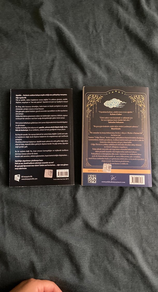 Akıllı İnsanların Aptallıkları ve Gölge Hırsızı - Görsel 2