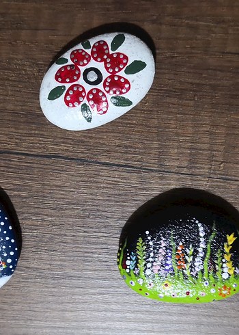 Taş Boyama Magnetler - Görsel 6