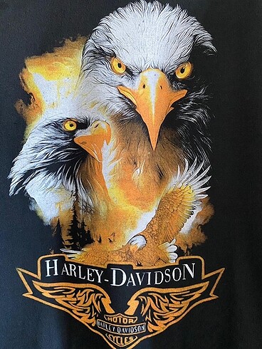 m Beden siyah Renk Harley davidson kartal baskılı sweat