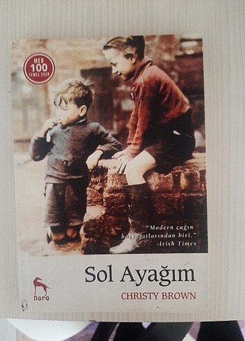 Sol ayağım kitabı