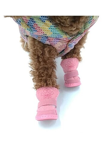 Beden KÖPEK AYAKKABILARI