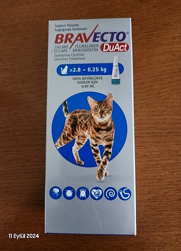 Kedi ürünleri