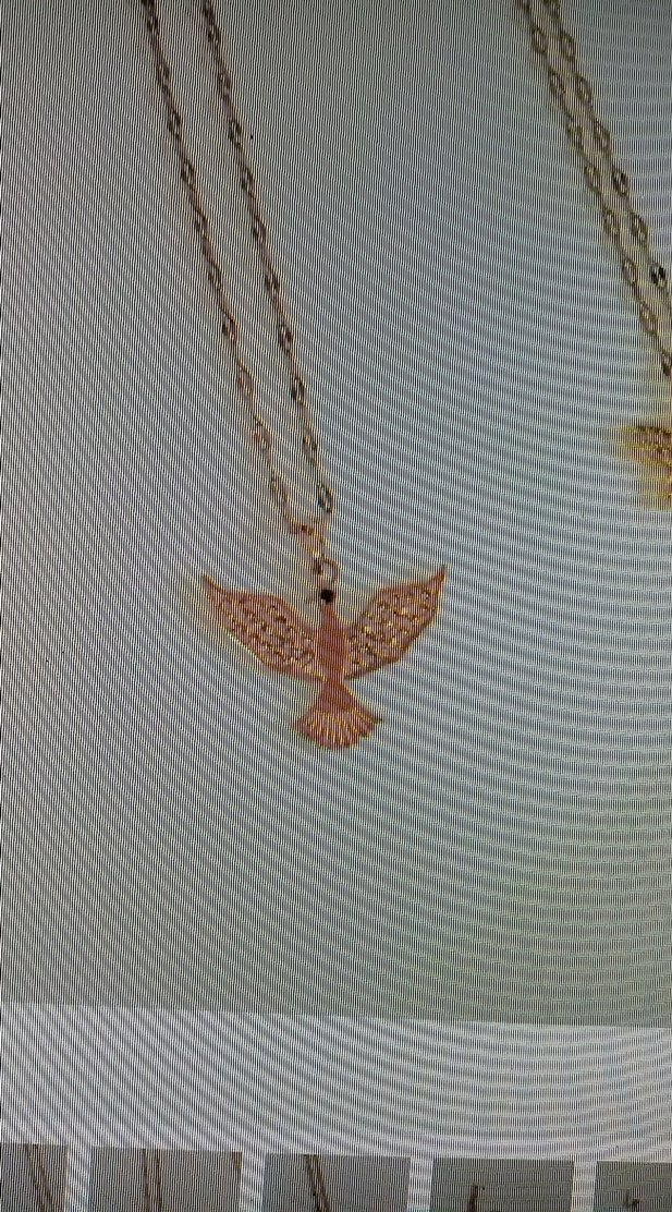 Altın Renkli İşlemeli Zincir Kolye - Görsel 5