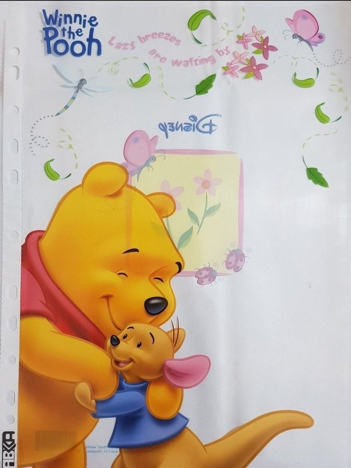 Winnie the Pooh 5 Adet Kalın Poşet Dosya - Görsel 3